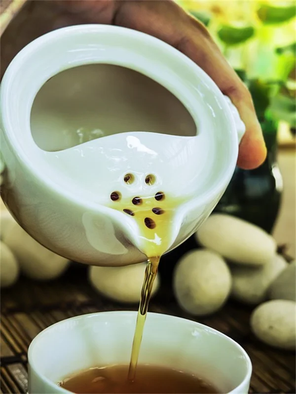 冬の知更鸟を助ける餌の与え方とは？すぐできる3つのコツ