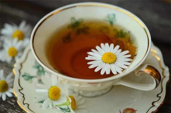 秋の芝生の種まき成功させるコツ：プロが教える5つのポイント