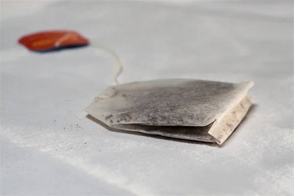 アスチルベが茶色く変色する原因と対策｜プロが教える褐変予防法