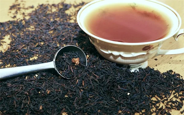 アスチルベが茶色く変色する原因と対策｜プロが教える褐変予防法