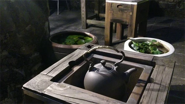 微気候を味方につけて庭の植物を増やす秘訣
